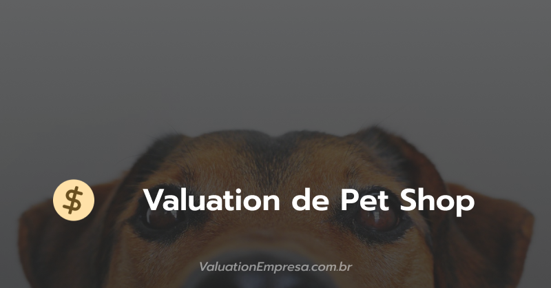 Contabilidade para Pet Shop: Impostos, DAS e Lucro